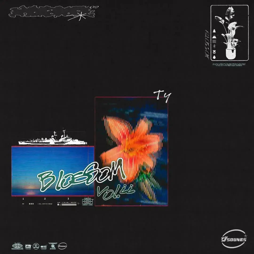 TY - BLOSSOM VOL 2 - The Sample Select - Digital Good